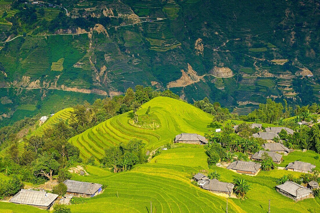 Vietnam, Ha Giang, Hoang Su Phi, ein Dorf der ethnischen Gruppe der La Chi inmitten von Reisfeldern auf einer Terrasse