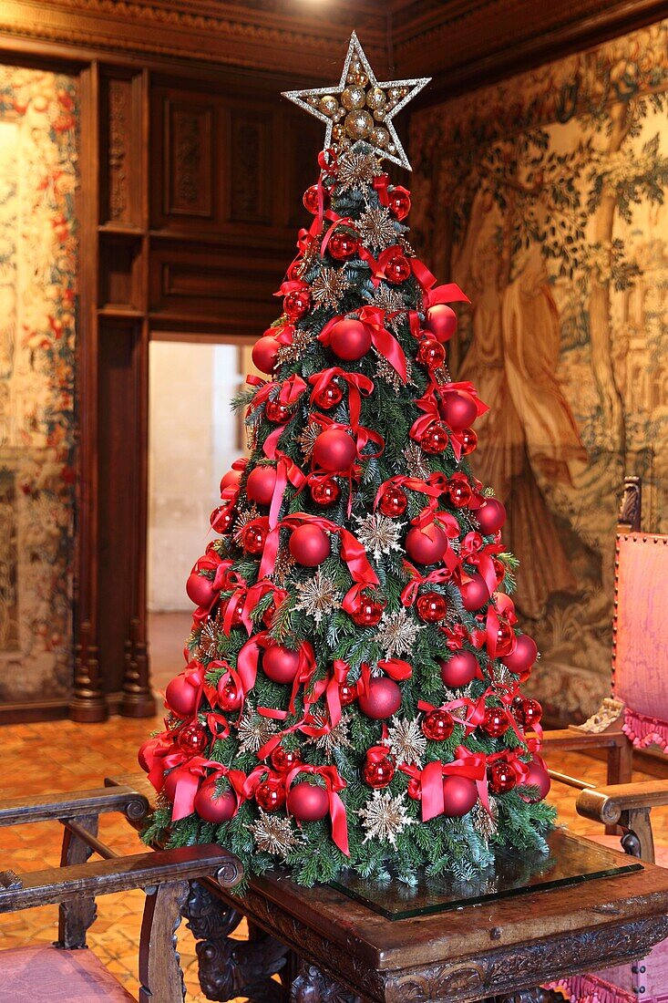 France, Indre-et-Loire, Loire Valley classified World Heritage by UNESCO, Chenonceaux, Chenonceau Castle, Christmas decoration