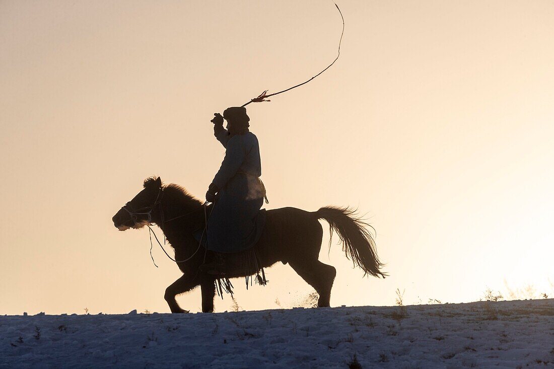 China, Inner Mongolia, Hebei Province, Zhangjiakou, Bashang Grassland, one Mongolian horseman on a horse running in a meadow covered by snow