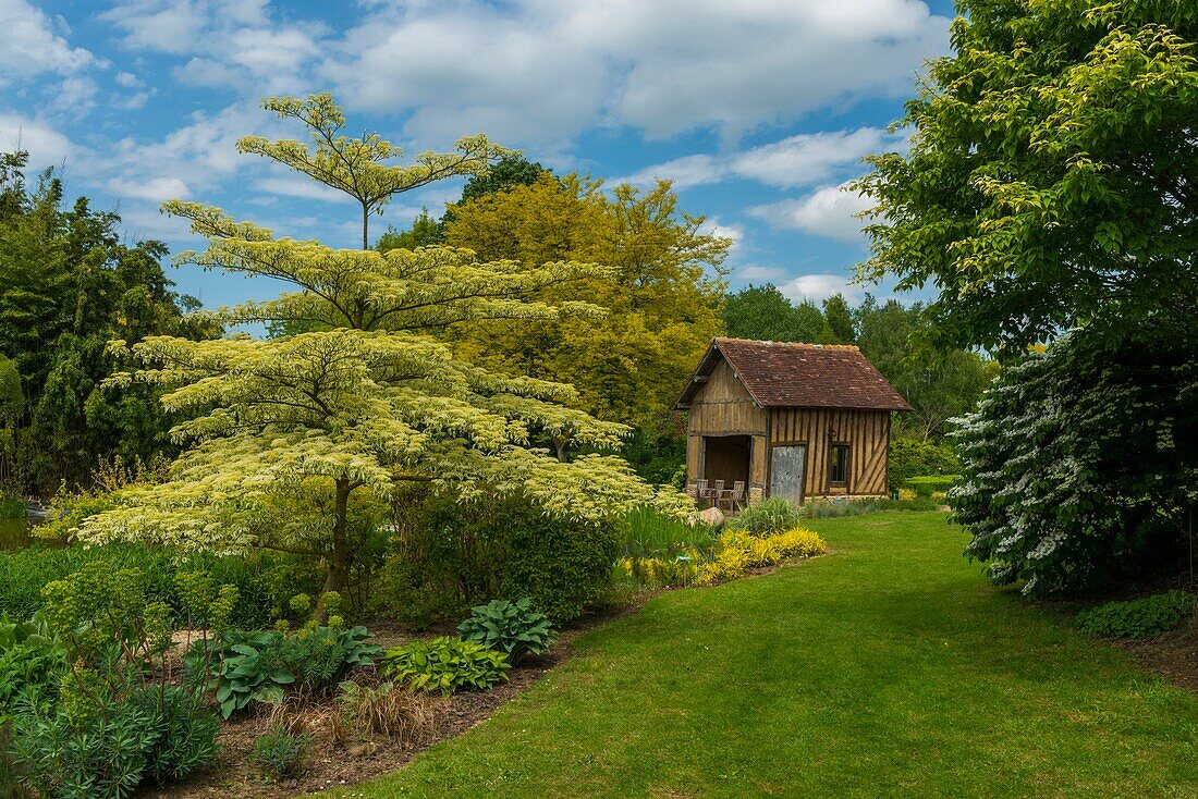 France, Calvados (14), Cambremer, the gardens of the Pays d'Auge and their ecomuseum classified remarkable garden in the spring