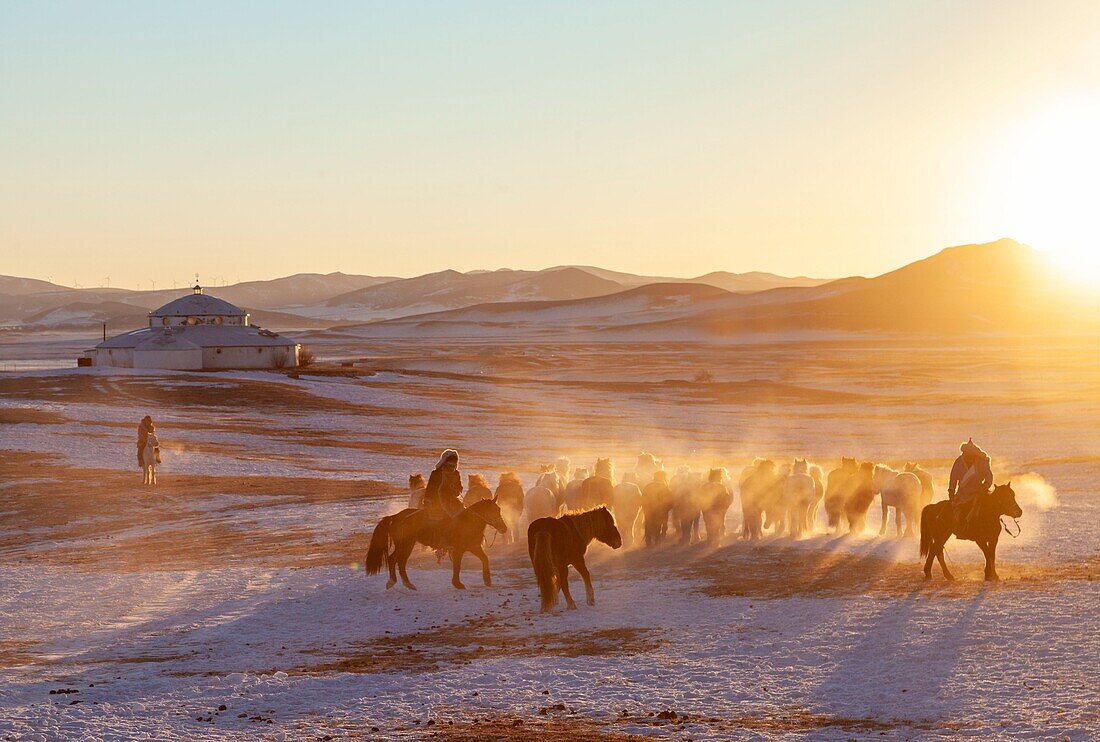 China, Innere Mongolei, Provinz Hebei, Zhangjiakou, Bashang-Grasland, mongolische Reiter führen eine Gruppe von Pferden auf einer schneebedeckten Wiese