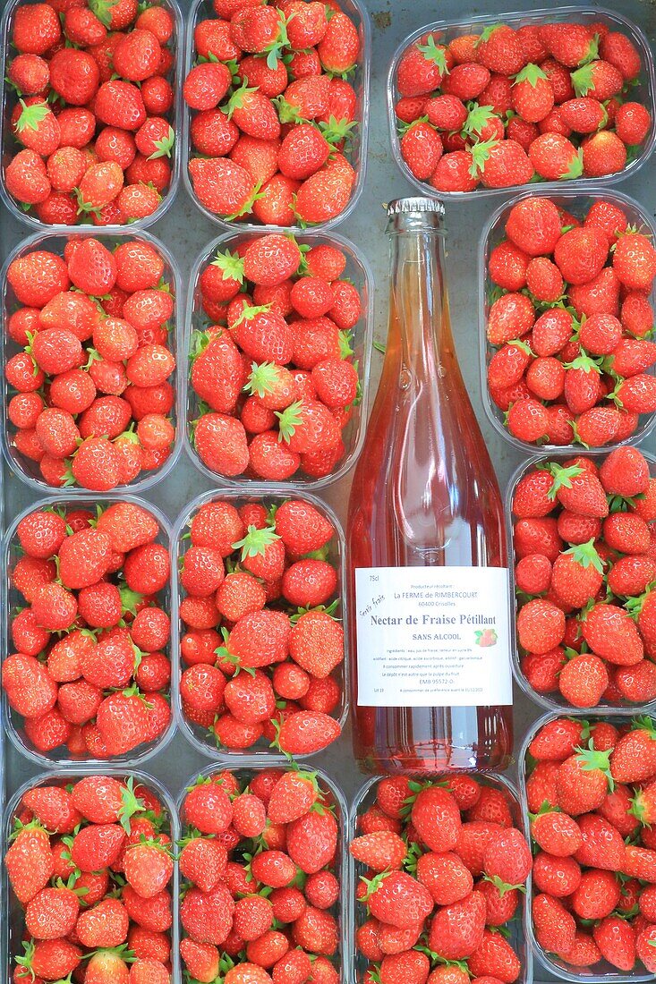 France, Oise, Crisolles, Rimbercourt farm, strawberry trays with a bottle of sparkling strawberry nectar (without alcohol)