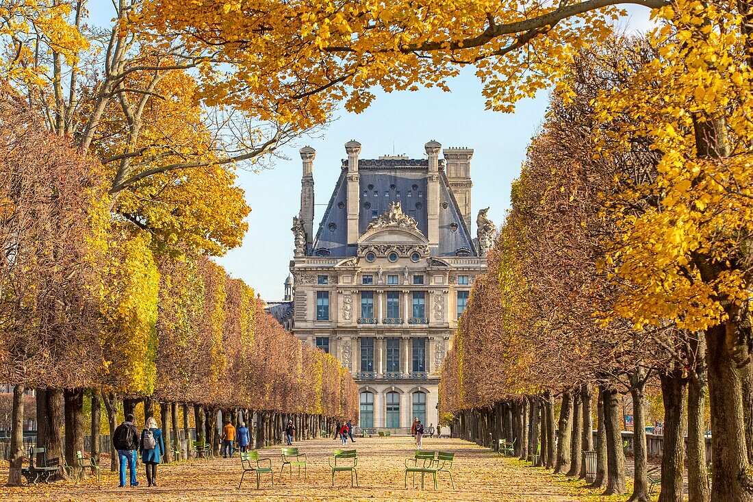 France, Paris (75), the Tuileries garden in autumn, terrace on the banks of the water and the Louvre and Pavillon de Flore