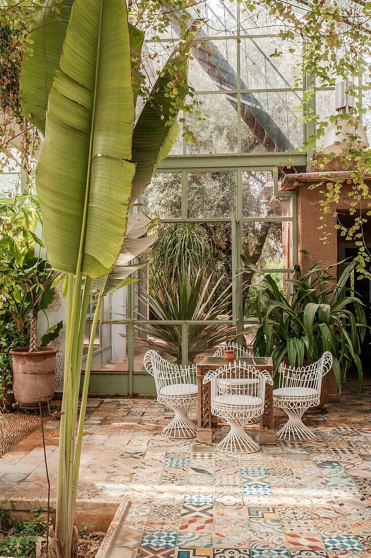 Morocco, Marrakesh, Beldi Country Club, Story: The stunning charm of the Beldi greenhouses