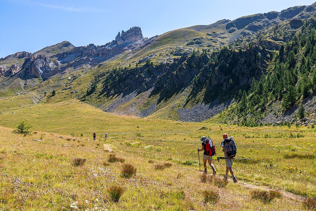 France, Alpes-Maritimes, Mercantour National Park, plateau of the forest houses of Tortisse and the Aiguilles de Tortisse (2672m) in the background