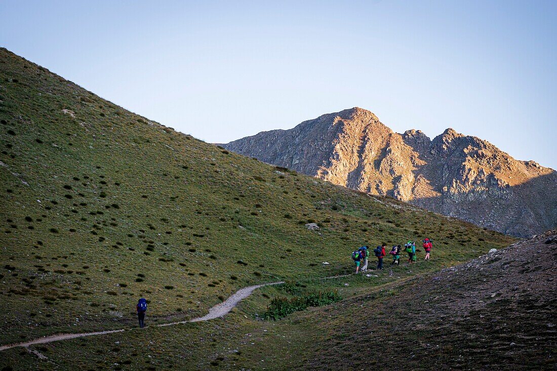 France, Alpes-Maritimes, Mercantour National Park, hikers crossing the Tortisse collar (2591m) to the Fer Pass (2584m)