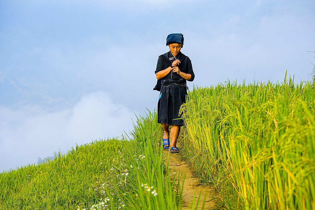 Vietnam, Ha Giang, Hoang Su Phi, woman and child of La Chi erthnic group among rice fields in terrace