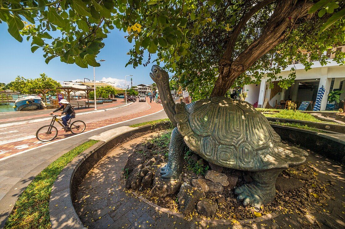 Ecuador, Galapagos-Archipel, von der UNESCO zum Weltkulturerbe erklärt, Insel Santa Cruz, Puerto Ayora, Skulptur einer Galapagos-Riesenschildkröte (Chelonoidis nigra) auf einem Kreisverkehr in der Innenstadt