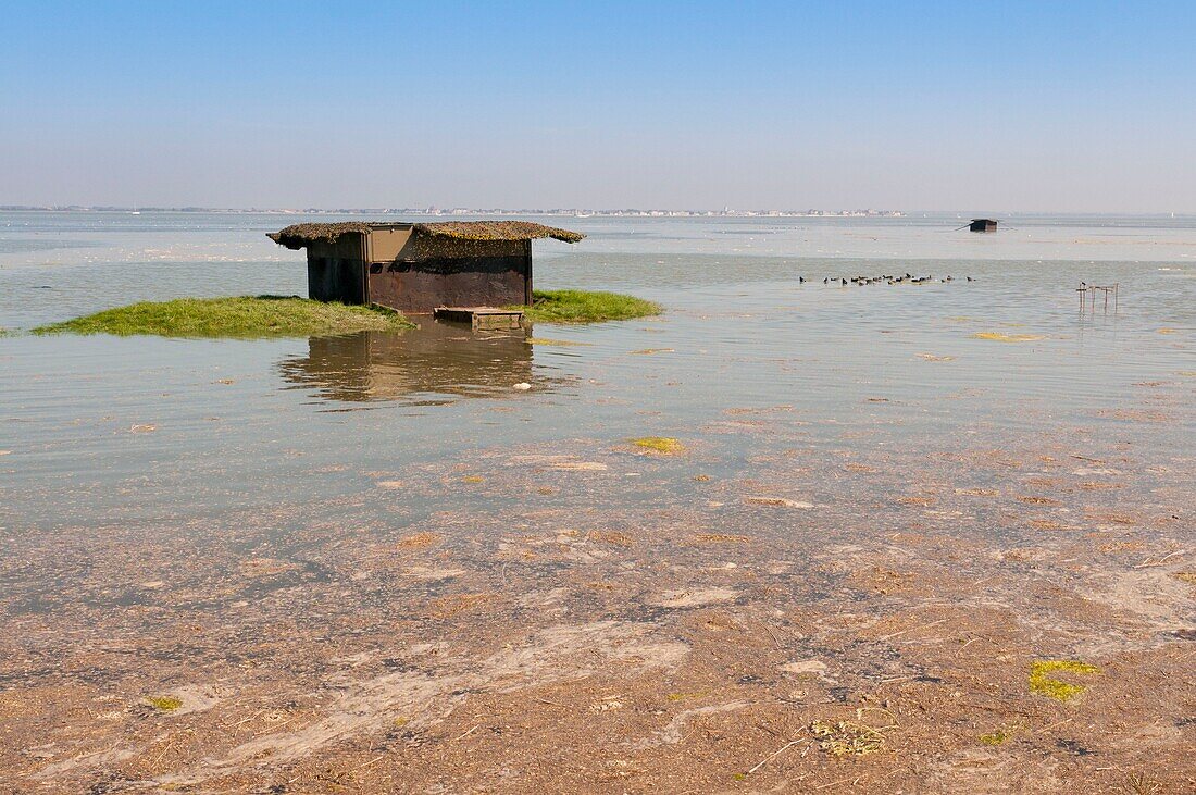 Frankreich, Somme, Baie de Somme, Le Hourdel, die Hourdel mollières, die von einer großen Flut überschwemmt werden, bei dieser Gelegenheit kann man die Jagdhütten aufsteigen und schwimmen sehen