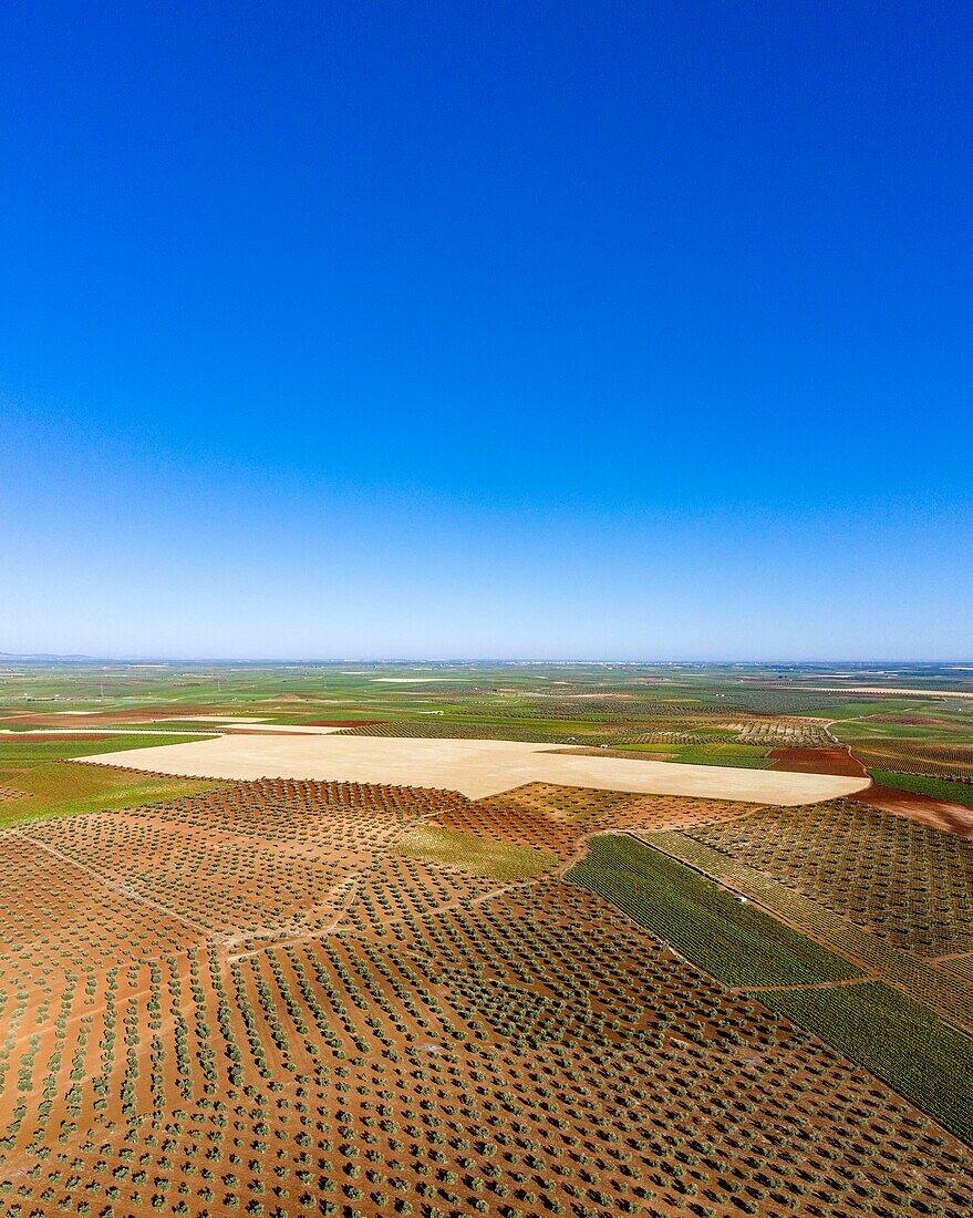 Spanien, Estramadura, Provinz Badajoz, Umgebung von Ribera del Fresno, Ernte aus einer Drohne