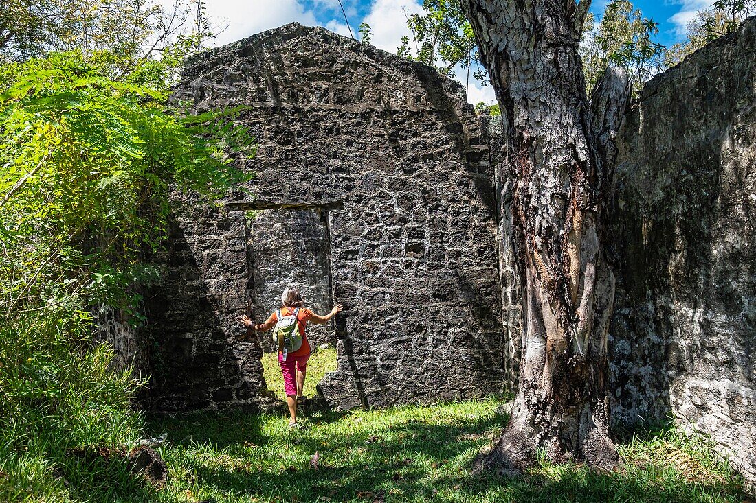 Mauritius, Flacq district, Bras d'Eau National Park, ruins of a former sugar factory