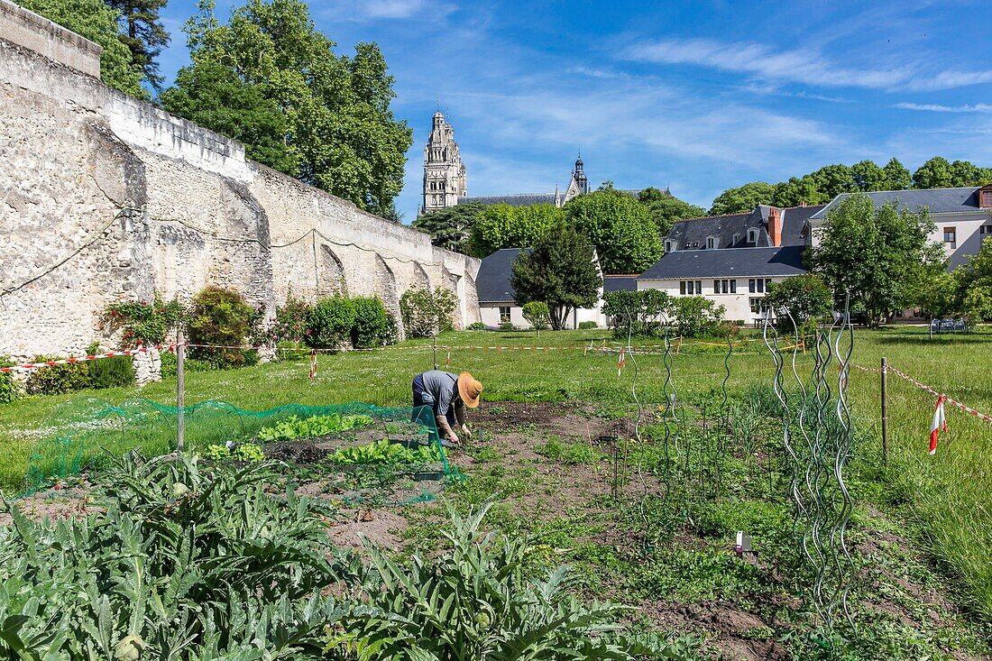 Frankreich, Indre et Loire, Loire-Tal, von der UNESCO zum Weltkulturerbe erklärt, Tours, Diözese Tours, Garten des Diözesanhauses Carmel, Nonnen bei der Gartenarbeit in dem ein Hektar großen Garten im Stadtzentrum von Tours