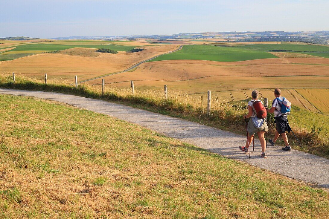 France, Pas de Calais, Escalles, Cap Blanc Nez (labeled Grand Site de France and part of the Capes et Marais d'Opale regional natural park), hikers on the Blanc Nez trail