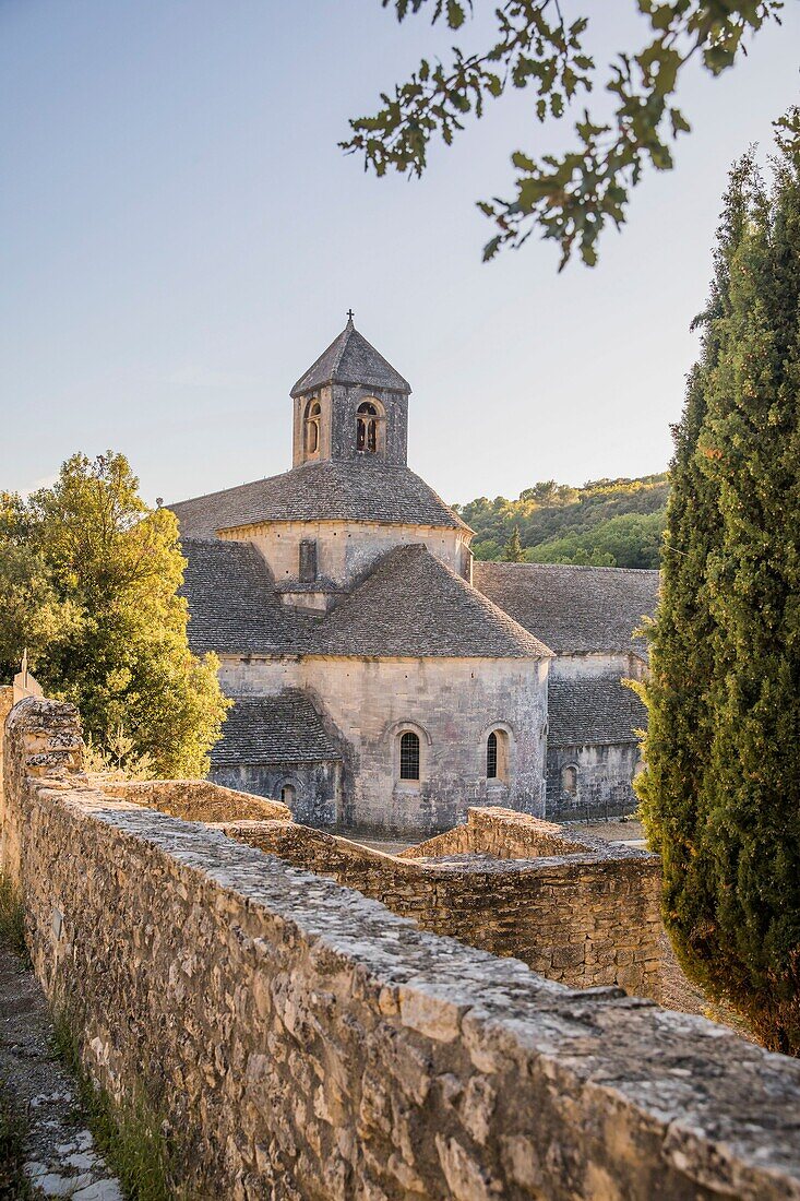 Frankreich, Vaucluse, Luberon, Abbaye de Senanque