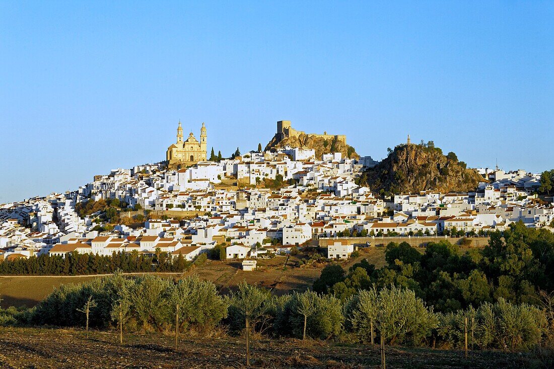 Spain, Andalucia, Cadiz province, white village of Olvera, the Church of Our Lady of the Incarnation and the Arabic fortress