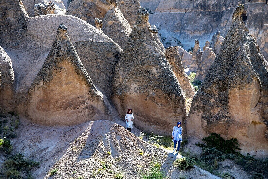 Turkey, Cappadocia, Pasabagi, Devrent the valley of Imaginations