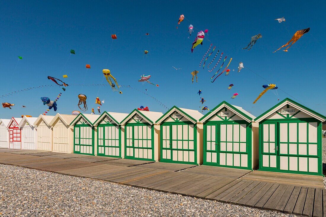 Frankreich, Somme, Baie de Somme, Cayeux-sur-mer, Festival der Drachen entlang des Bretterwegs und der Strandhütten