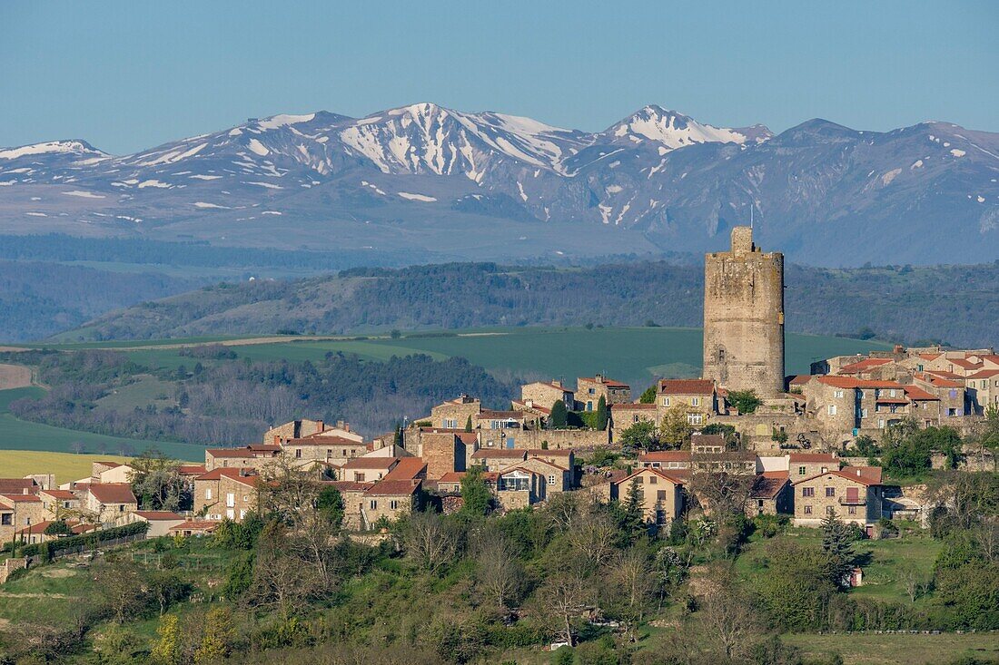 France, Puy de Dome, Montpeyroux, labelled Les Plus Beaux Villages de France (The Most Beautiful Villages of France), in the background the Massif du Sancy in the Parc Naturel Regional des Volcans d'Auvergne (Regional Nature Park of Volcans d'Auvergne)