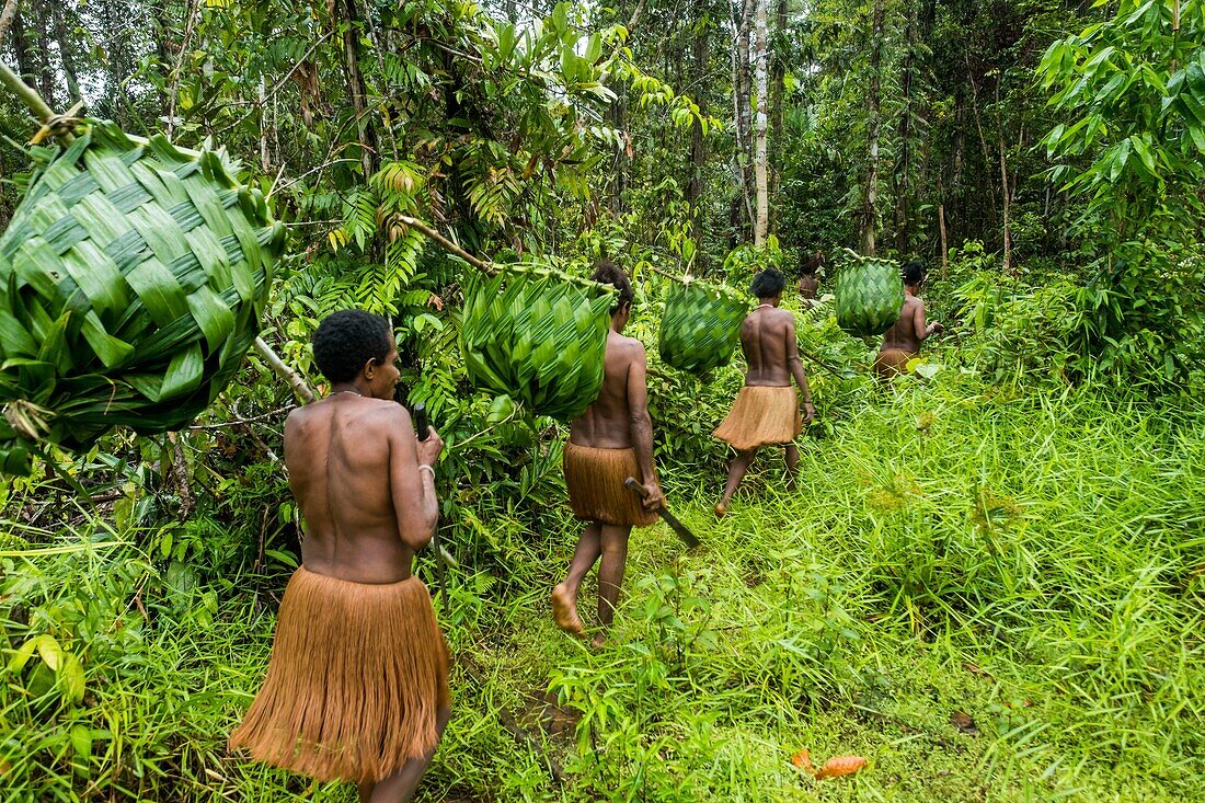 Indonesia, West Papua, Mabul, Korowai expedition, making of palm baskets and river fishing