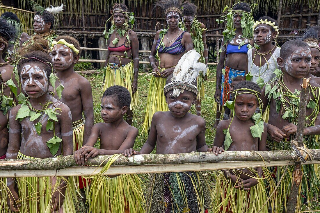 Indonesia, Papua, Asmat district, Per village, pole ceremony