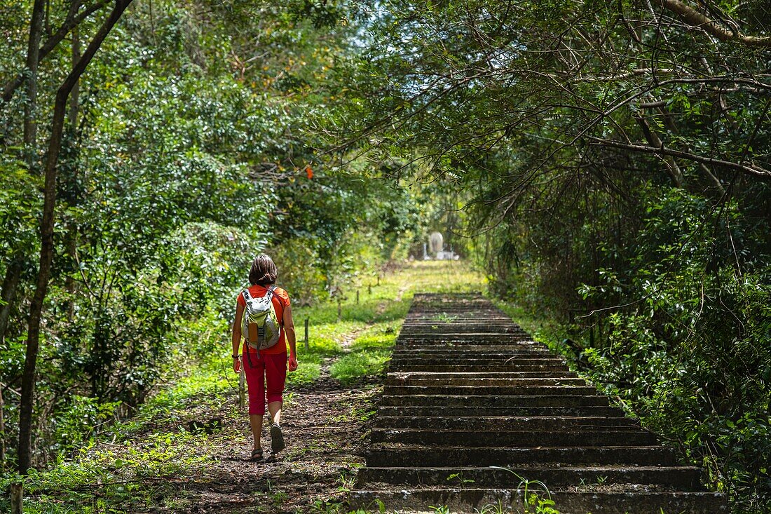 Mauritius, Bezirk Flacq, Nationalpark Bras d'Eau, Wanderung entlang einer ehemaligen Eisenbahnlinie