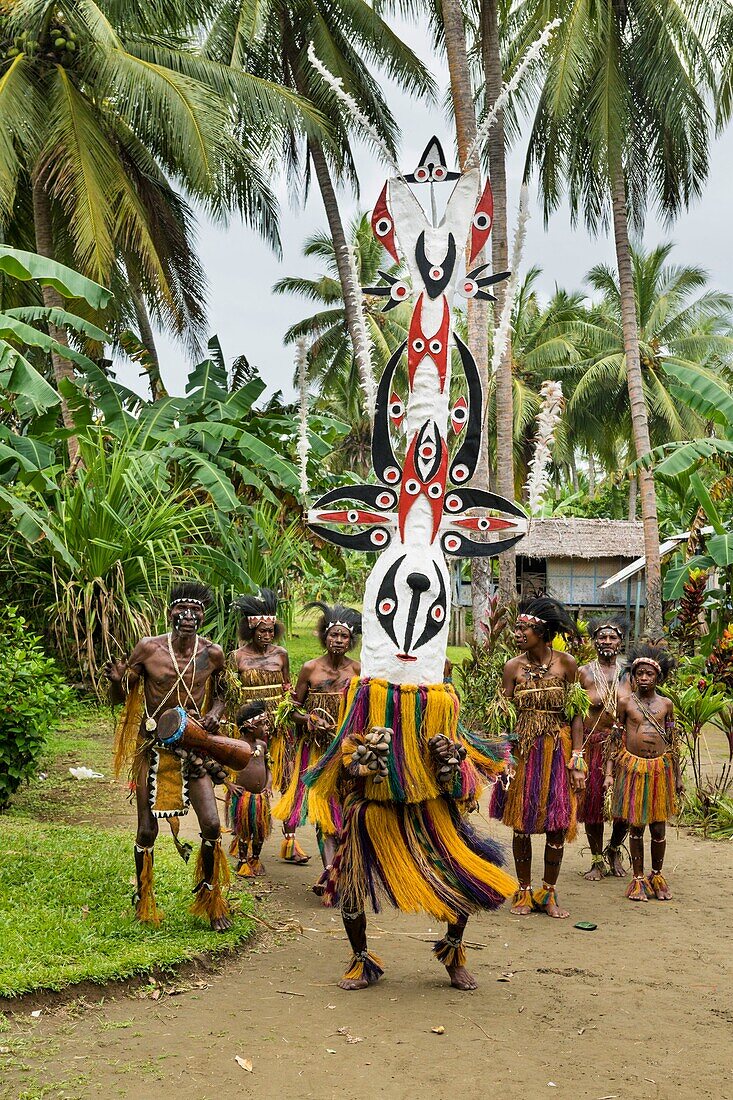 Papua New Guinea, Gulf Province, Toare Village, traditional festival called sing-sing, Meou mask and Karama Parako group