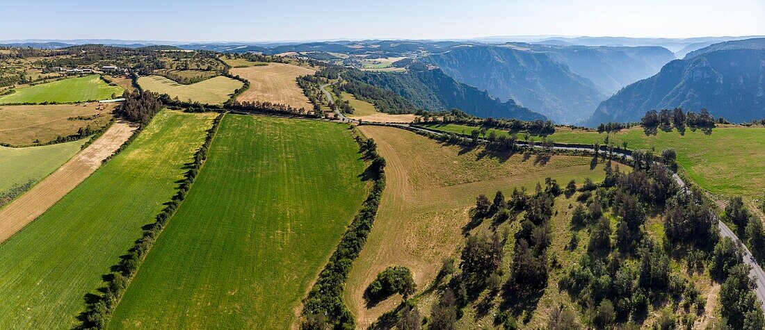 France, Cevennes national parc, fields, aerial view