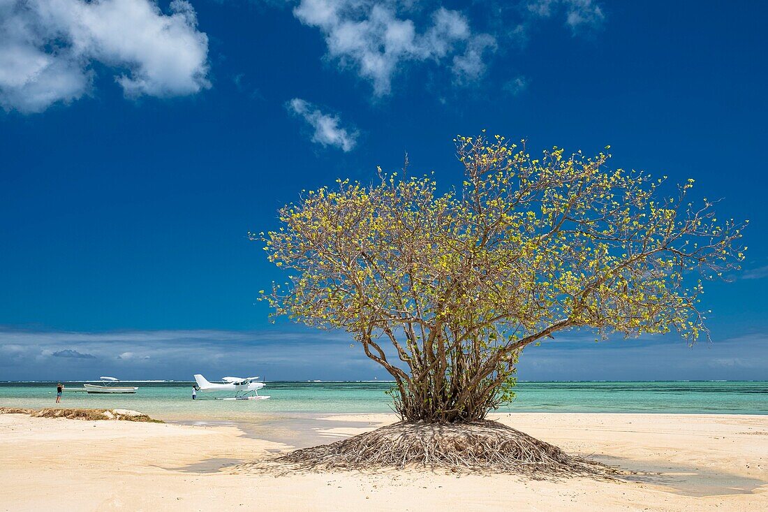 Mauritius, Riviere Noire district, Prairie beach, flying in a seaplane