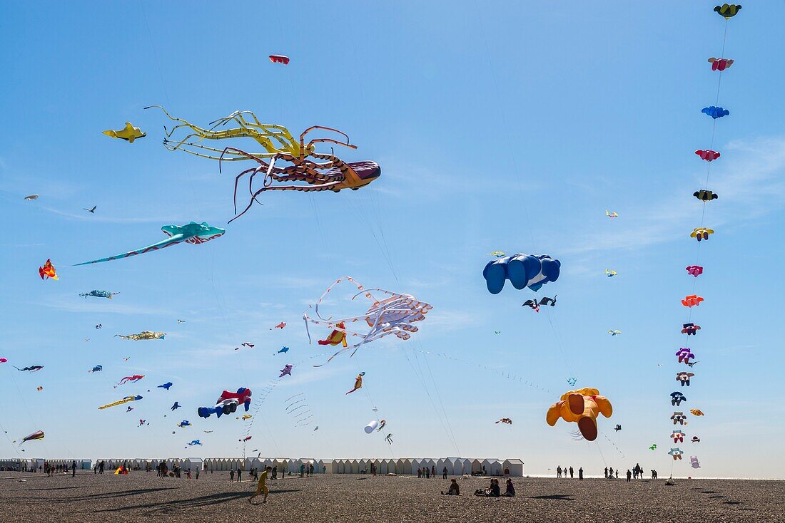 France, Somme, Baie de Somme, Cayeux-sur-mer, Festival of kites along the path of boards and beach huts