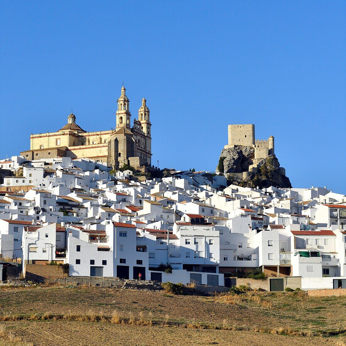 Spain, Andalucia, Cadiz province, white village of Olvera, the Church of Our Lady of the Incarnation and the Arabic fortress