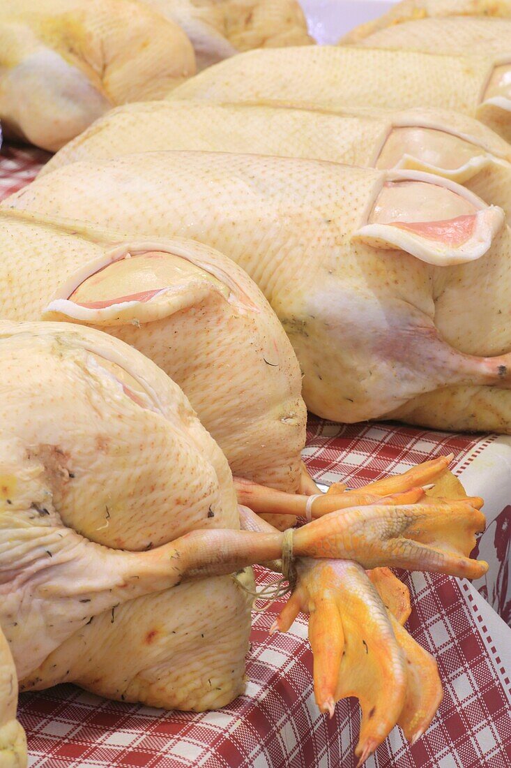 France, Correze, Brive la Gaillarde, Halle Georges Brassens, foire grasse, geese with their foie gras