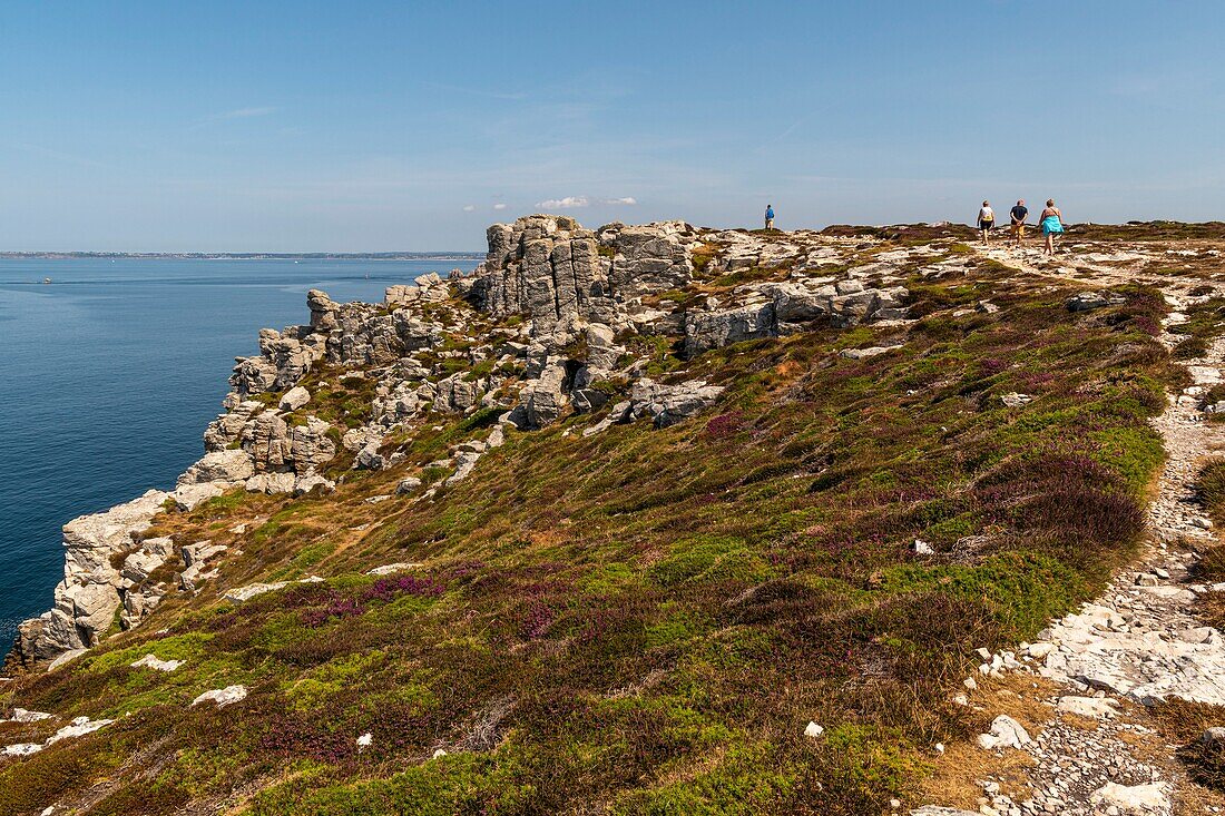 Frankreich, Finistère (29), Cornouaille, Halbinsel Crozon, Camaret-sur-Mer, Spitze Pen-Hir in der Iroise