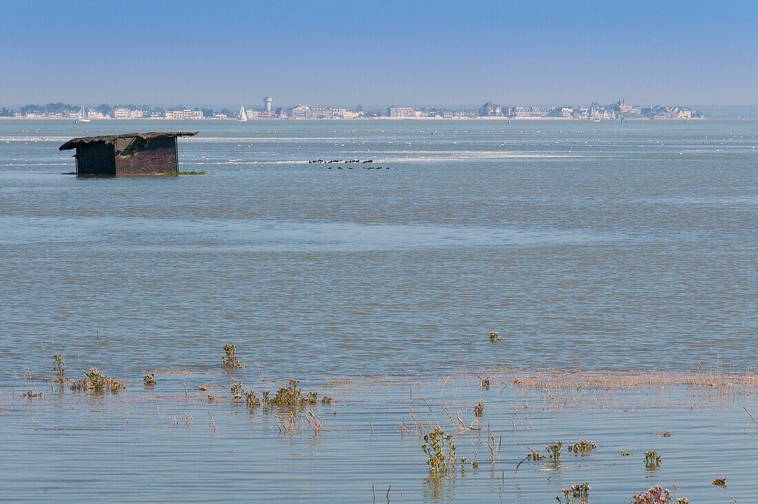 France, Somme, Baie de Somme, Le Hourdel, the Hourdel mollières covered by a great tide, on this occasion you can see the hunting huts rise and float