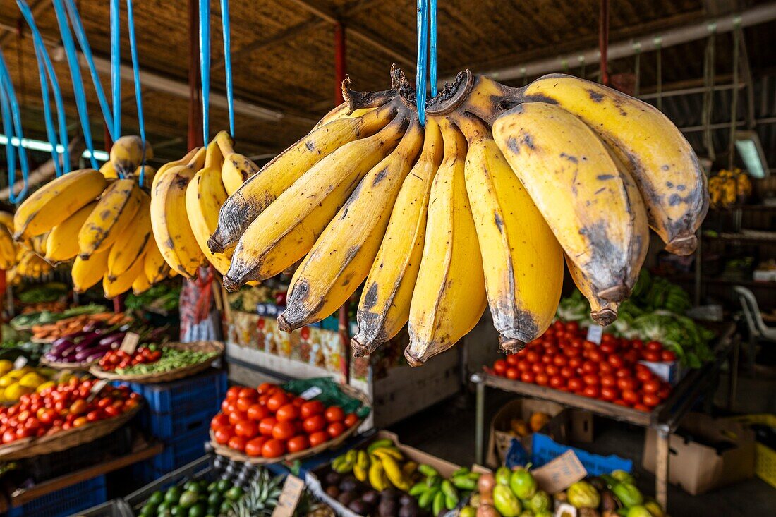 Mauritius, Bezirk Rivière du Rempart, Goodlands, Obst- und Gemüseladen