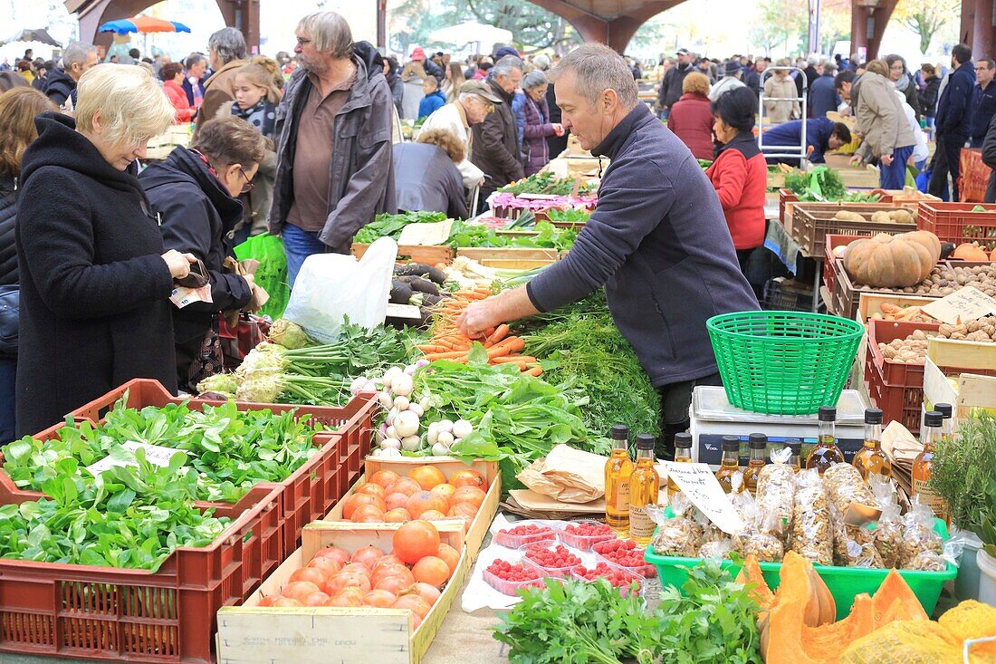 France, Correze, Brive la Gaillarde, Halle Georges Brassens, market, fruit and vegetable seller