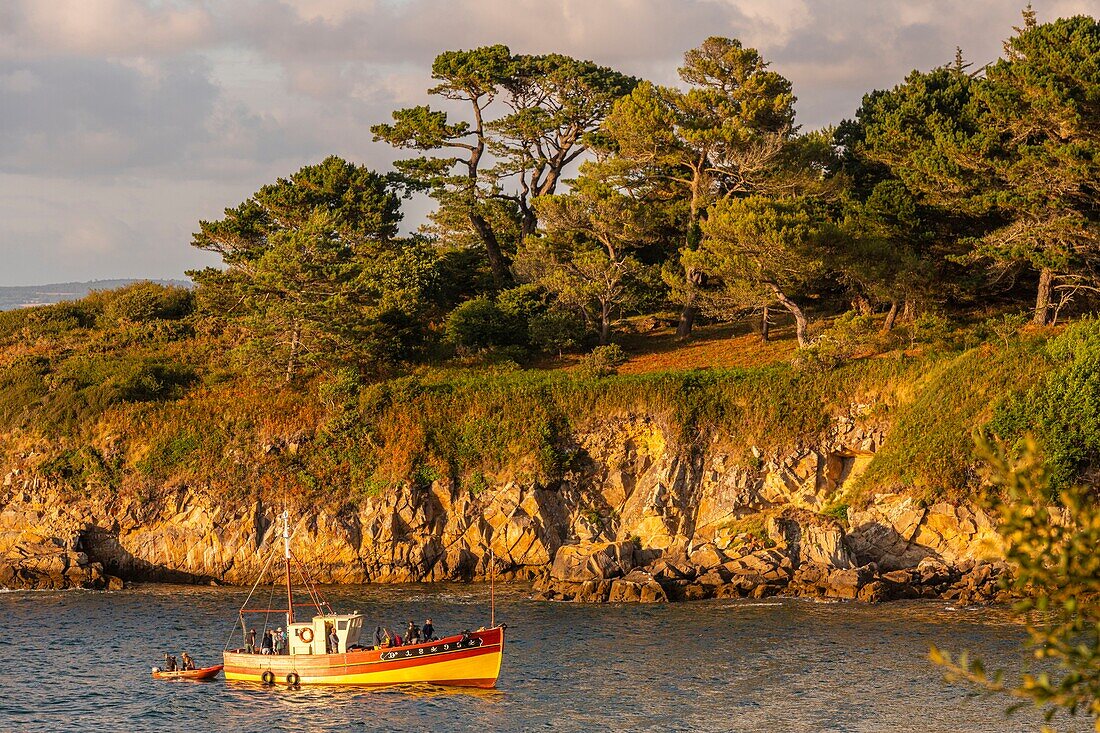 France, Finistere (29), Cornouaille, Douarnenez, Tristan island, the port of Tréboul and the bay of Douarnenez