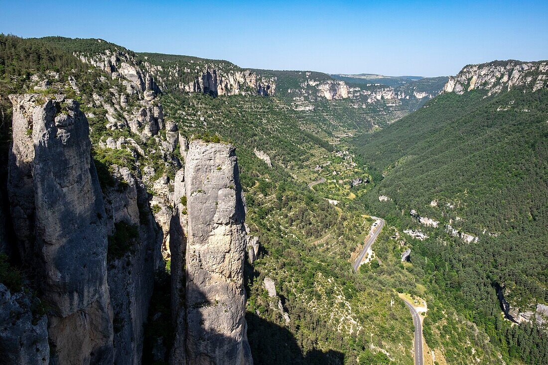 France, Cevennes national parc, Gorges de la Jonte, aerial view