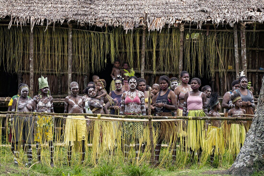 Indonesia, Papua, Asmat district, Per village, pole ceremony