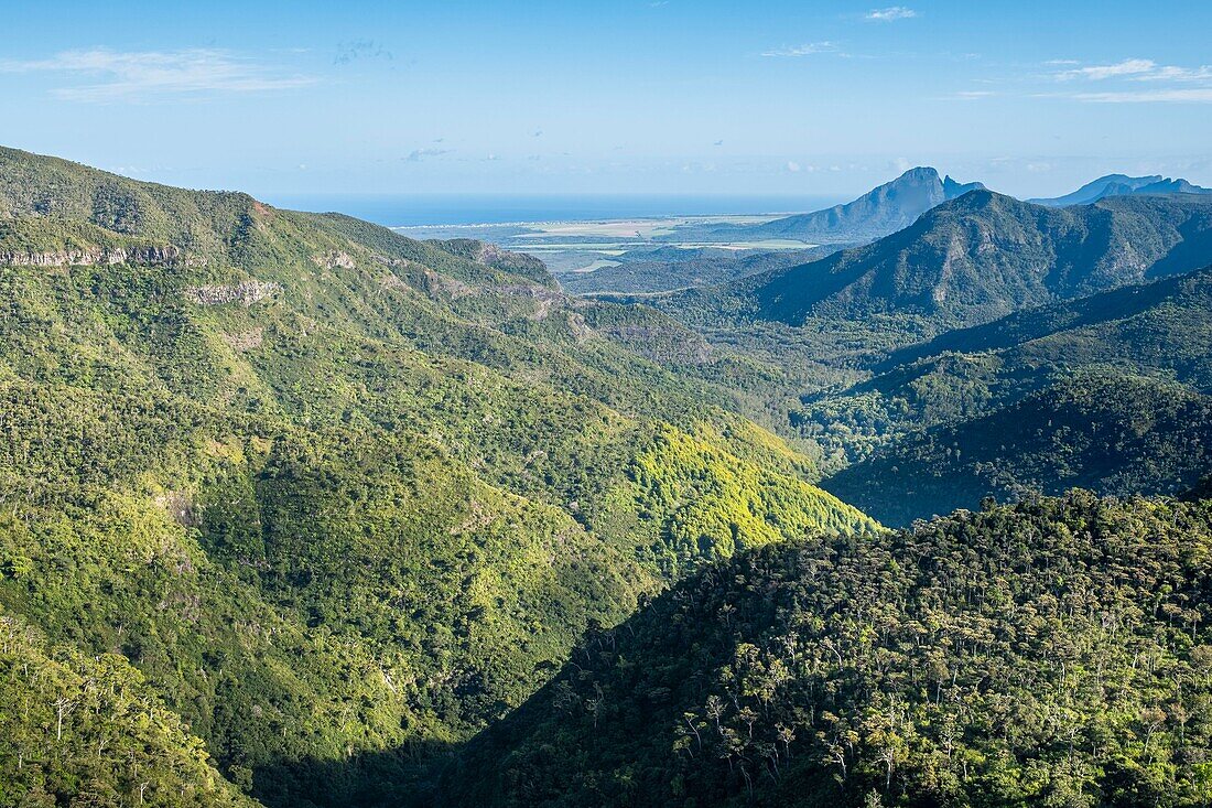 Mauritius, Savanne district, Black River Gorges National Park, panorama from the viewpoint of Plaine Champagne road