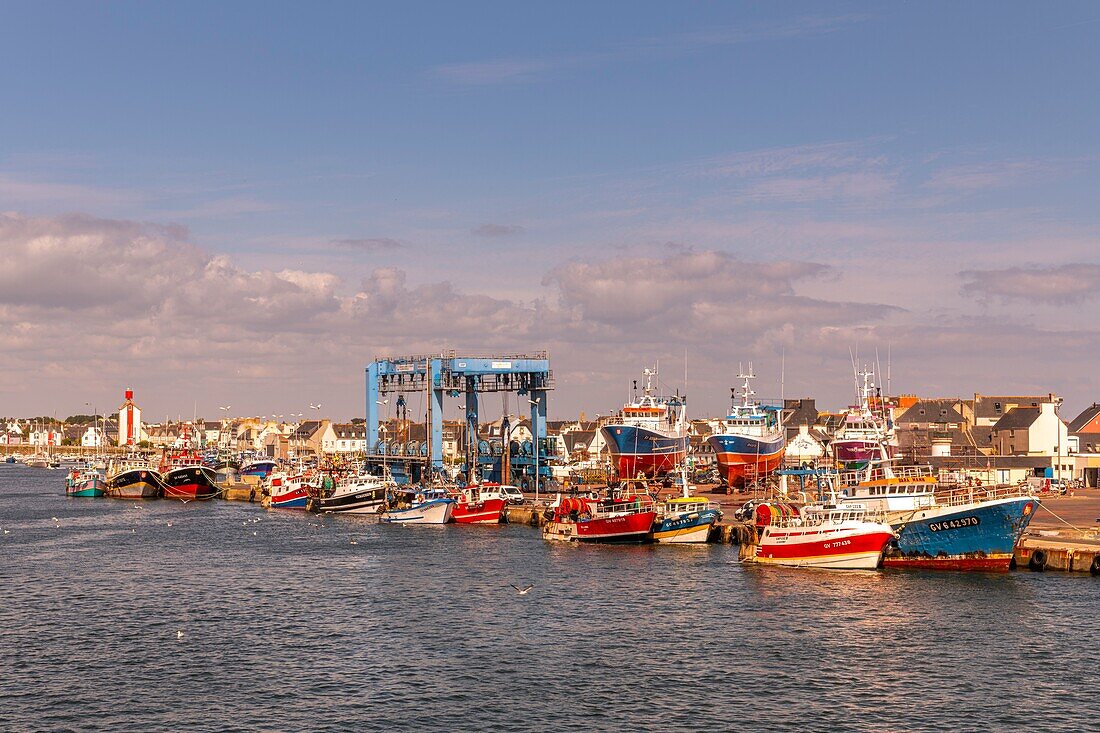 France, Finistere (29), Cornouaille, Le Guilvinec, first fishing port of France, the return of the trawlers to the port to unload the fish and sell it at the auction