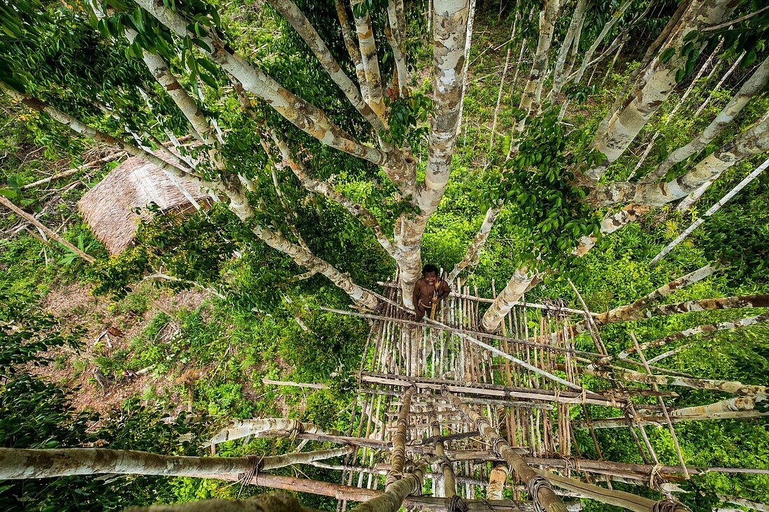 Indonesien,West Papua,Mabul,Korowai-Expedition