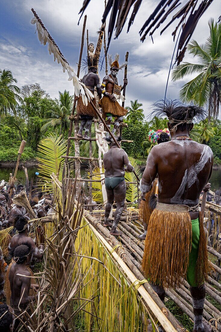 Indonesia, Papua, Asmat district, Per village, pole ceremony