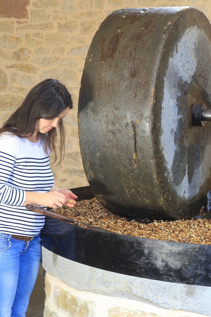 France, Correze, Ligneyrac, Moulin de la Vie Contee, stone grinding of the Perigord walnuts to make AOC walnut oil, verification by Anne Jaubertie