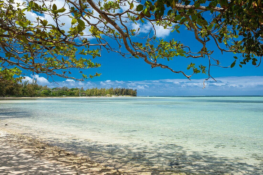 Mauritius, Riviere Noire district, Prairie beach