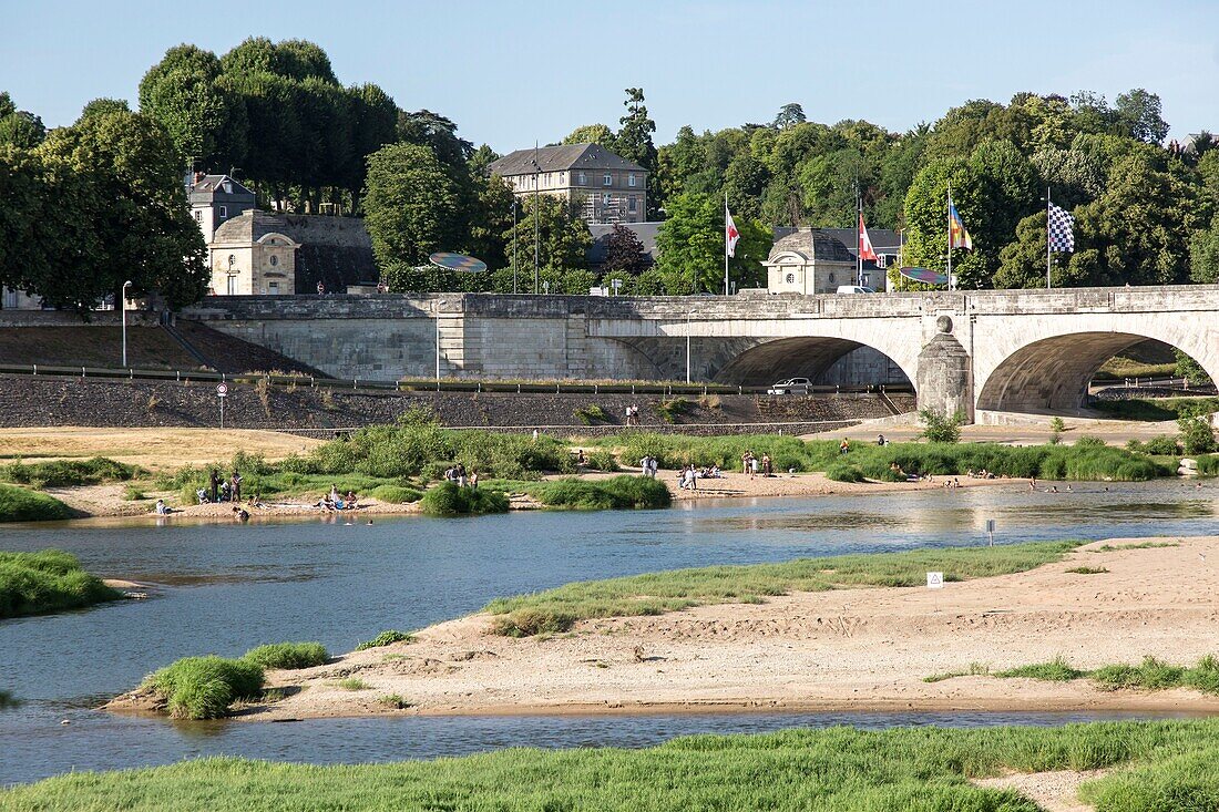 Frankreich,Indre et Loire,Loire-Tal,von der UNESCO zum Weltkulturerbe erklärt,Tours,die Loire in Tours,Schwimmen am Fuße der Wilson-Brücke