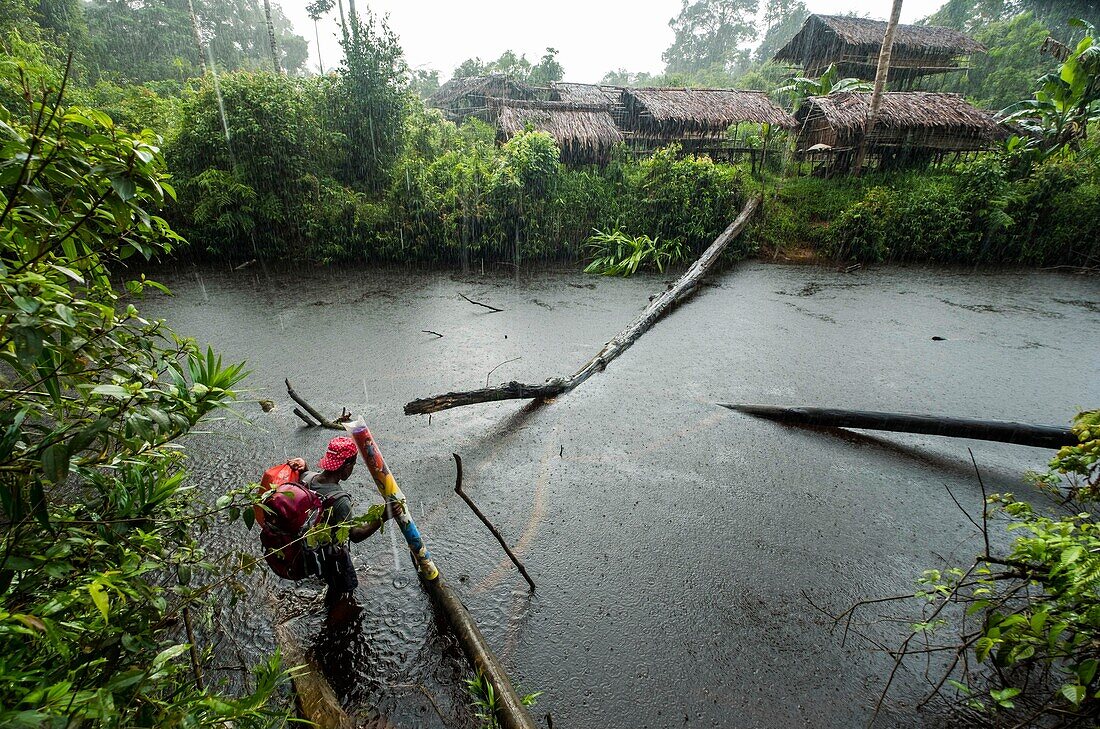 Indonesia, West Papua, Mabul, Korowai expedition, crossing of a stream under a pouring rain to reach the first clan