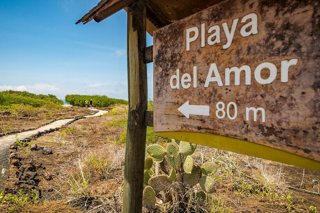 Ecuador,Galapagos-Archipel,von der UNESCO zum Weltnaturerbe erklärt,Insel Isabela (Albemarie),Feuchtgebietskomplex und Mauer der Tränen,Weg zum Strand der Liebe