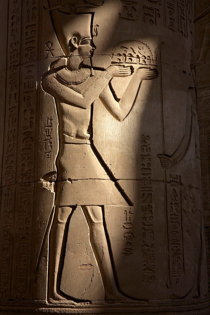 Egypt, Upper Egypt, Nile Valley, Kom Ombo, bas-reliefs depicting Pharaoh on a column of the temple of Kom Ombo