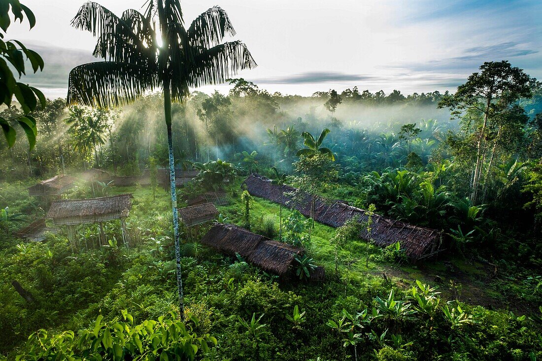 Indonesia, West Papua, Mabul, Korowai expedition