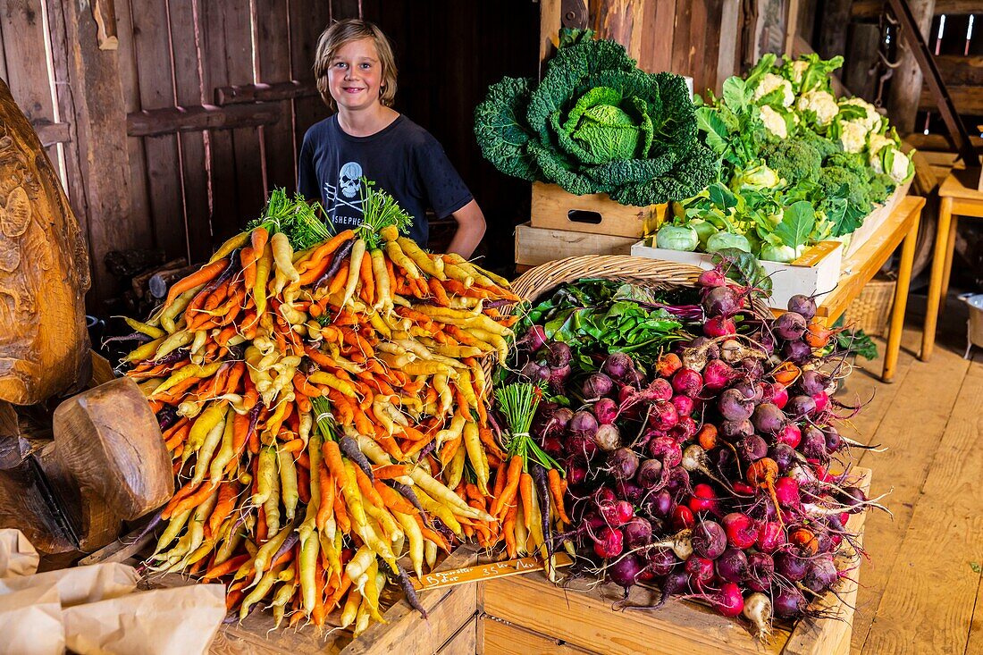 Sweden, County of Vastra Gotaland, Hokerum, Ulricehamn hamlet, Rochat family report, Wednesday market day at the farm shop from 4 pm, Emile very proud of his parents' work